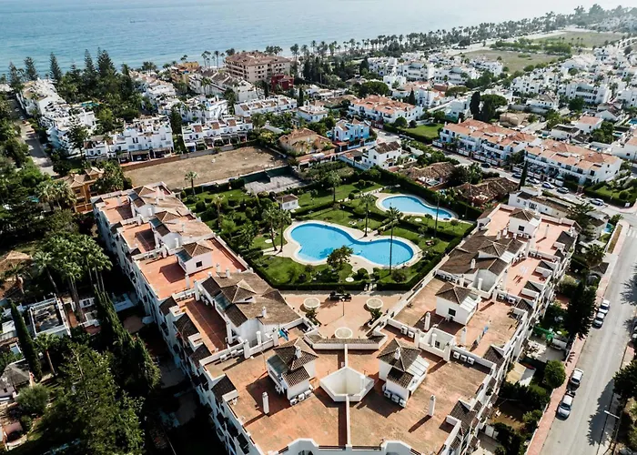 Petunias Lorcrisur Marbella