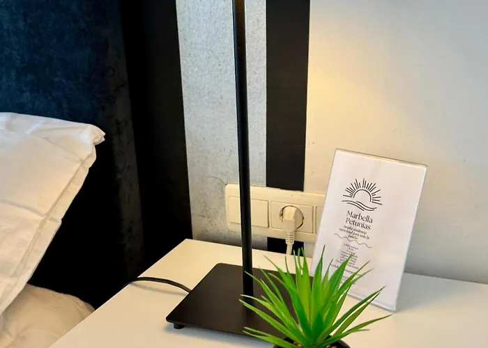 Petunias Lorcrisur * Marbella